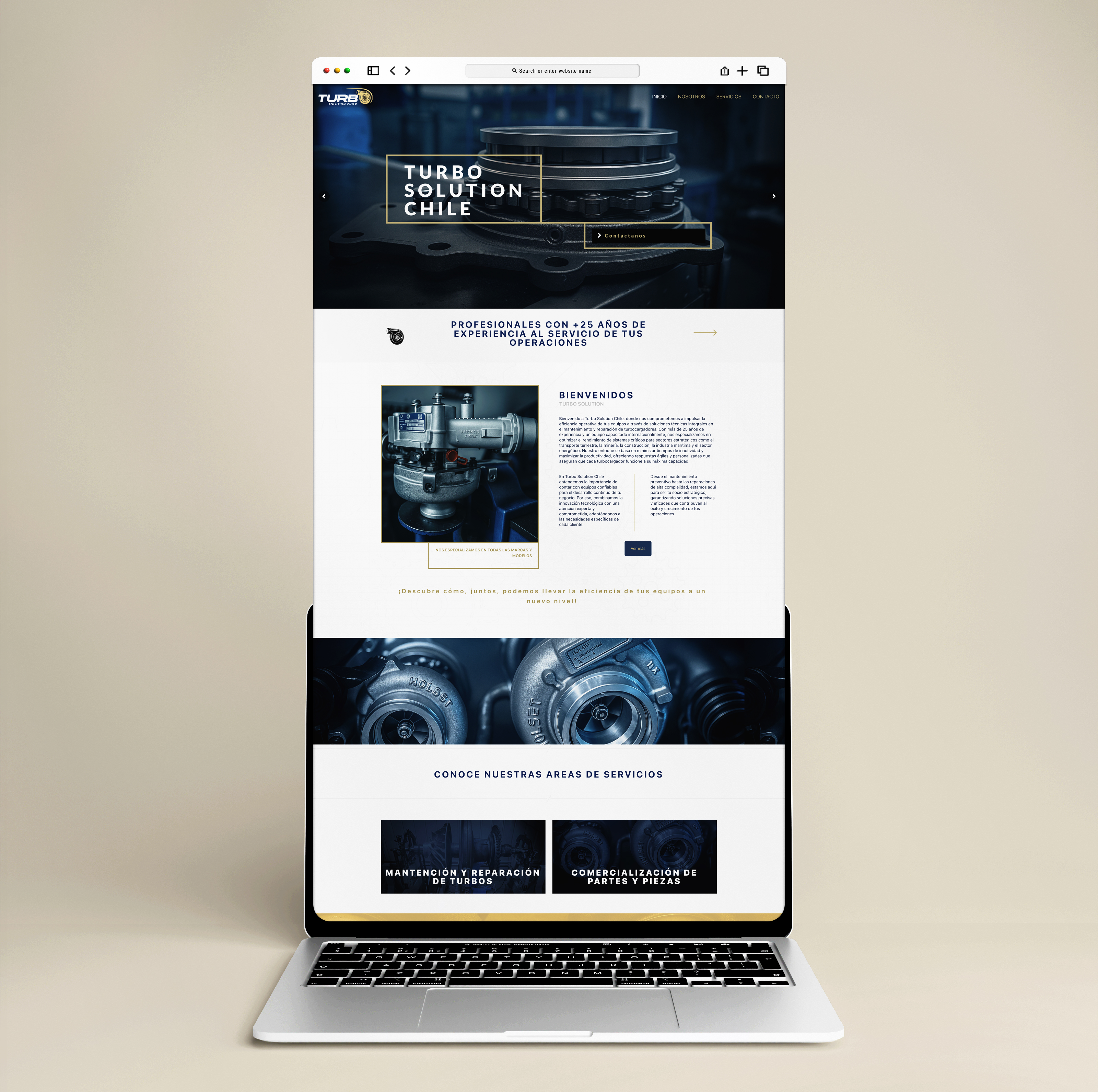 Diseño Web Turbo Solution